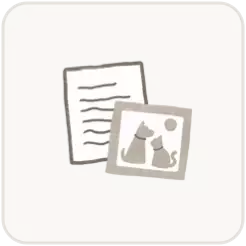 file placeholder